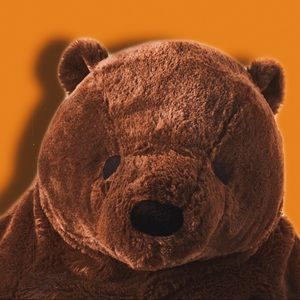 Meet your Posher, Sydney